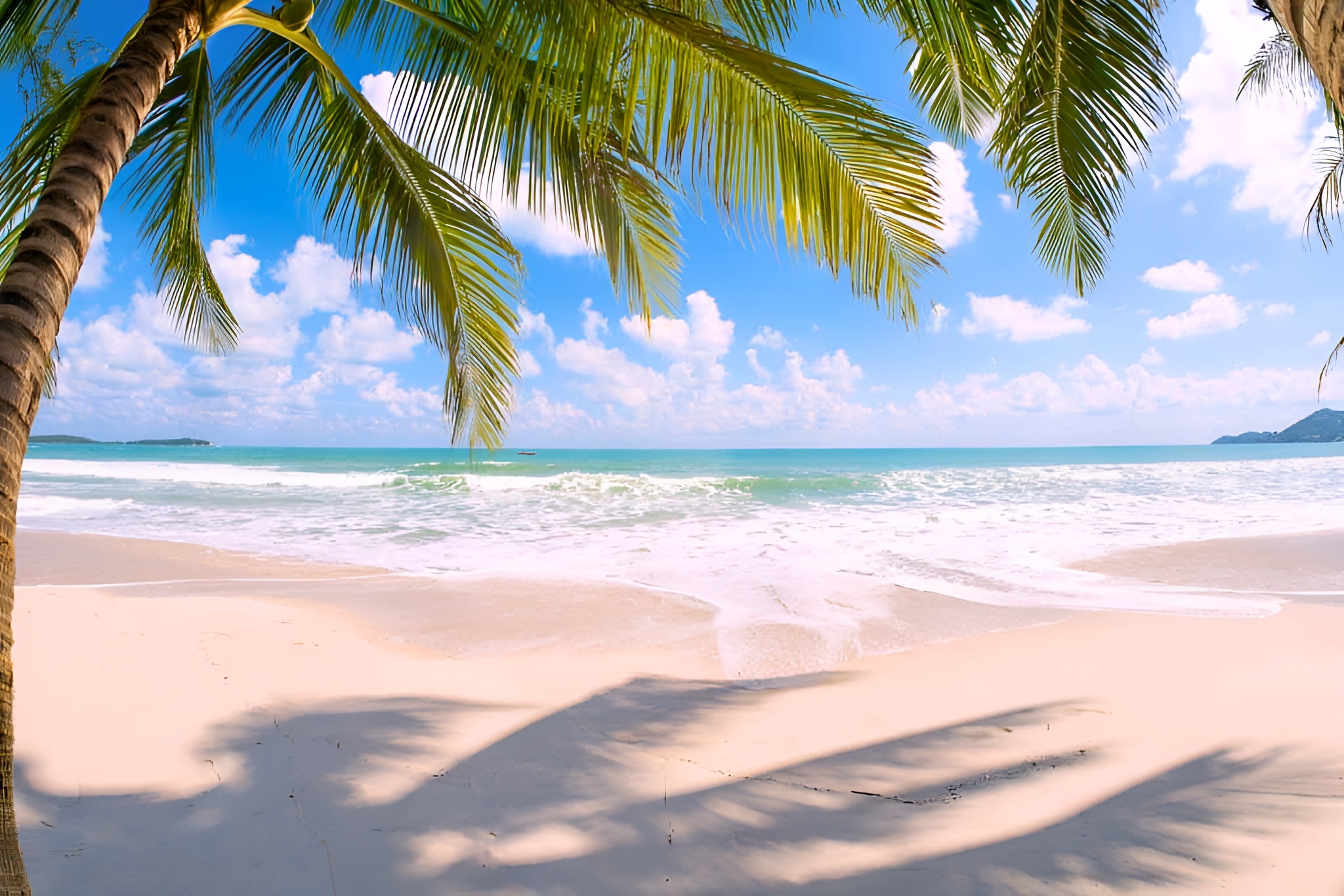 Fiji landscape